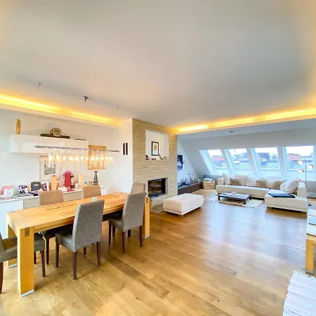 Exklusives Panorama Penthouse Im Herzen Von Munchen, Dachterasse, Kamin Munich