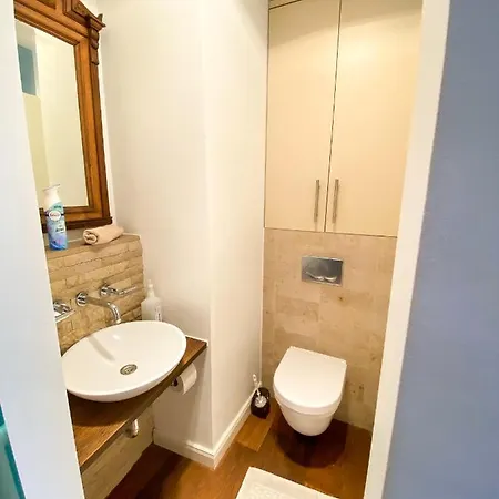 Exklusives Panorama Penthouse Im Herzen Von München, Dachterasse, Kamin